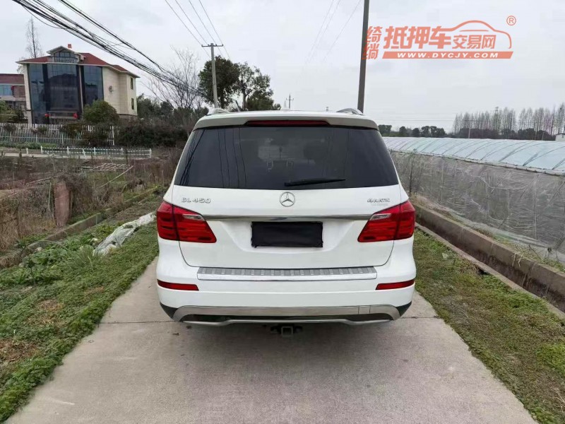 嘉兴16年奔驰GLS9