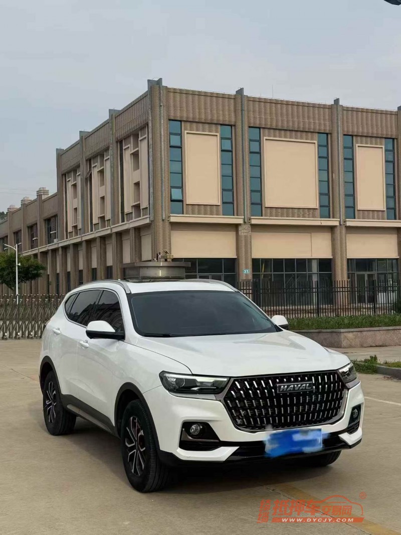 东营24年哈弗H63