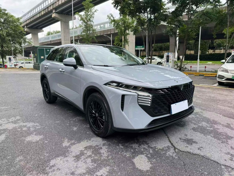 长沙25年启辰大V3