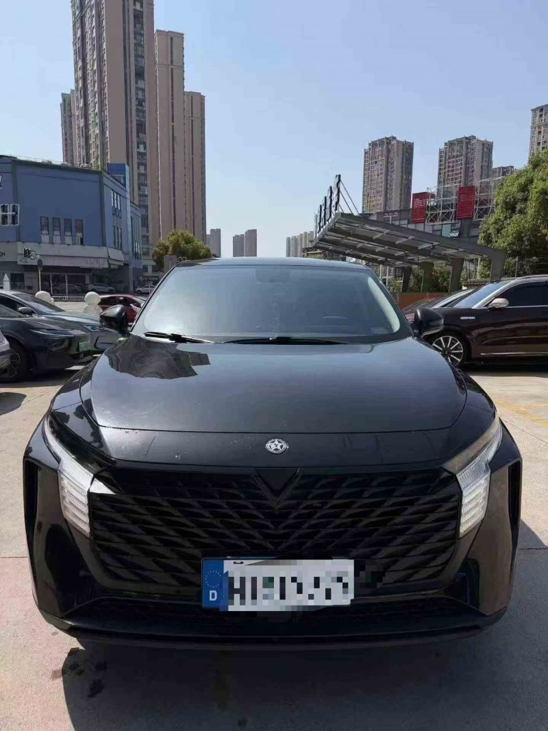 苏州24年启辰大V1