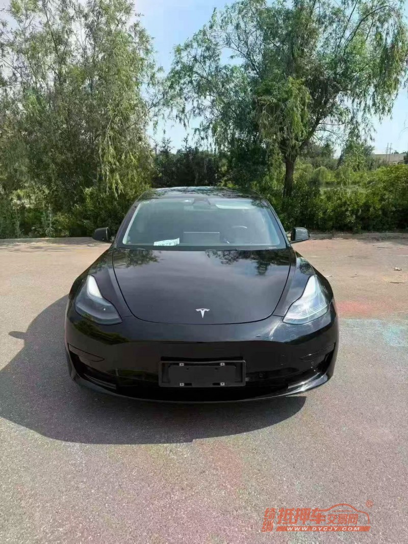秦皇岛23年特斯拉MODEL 31