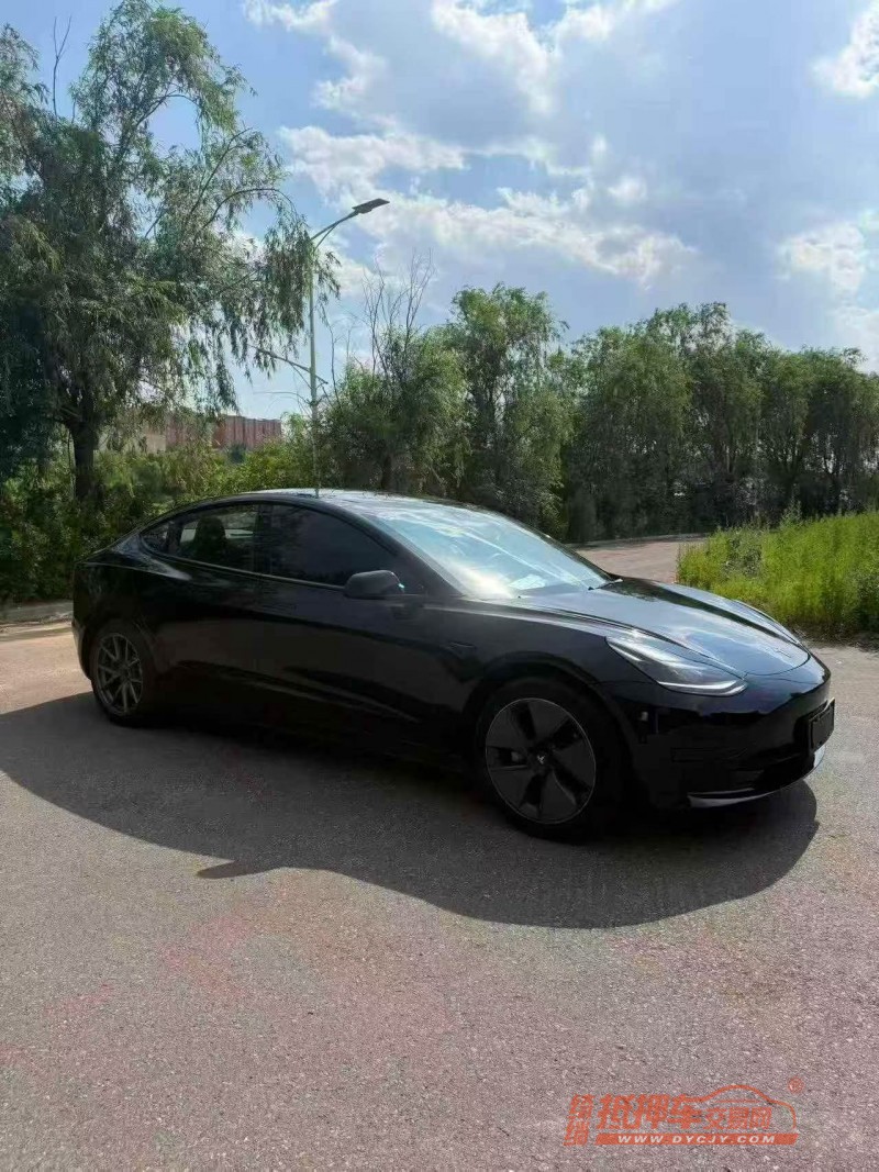 秦皇岛23年特斯拉MODEL 33