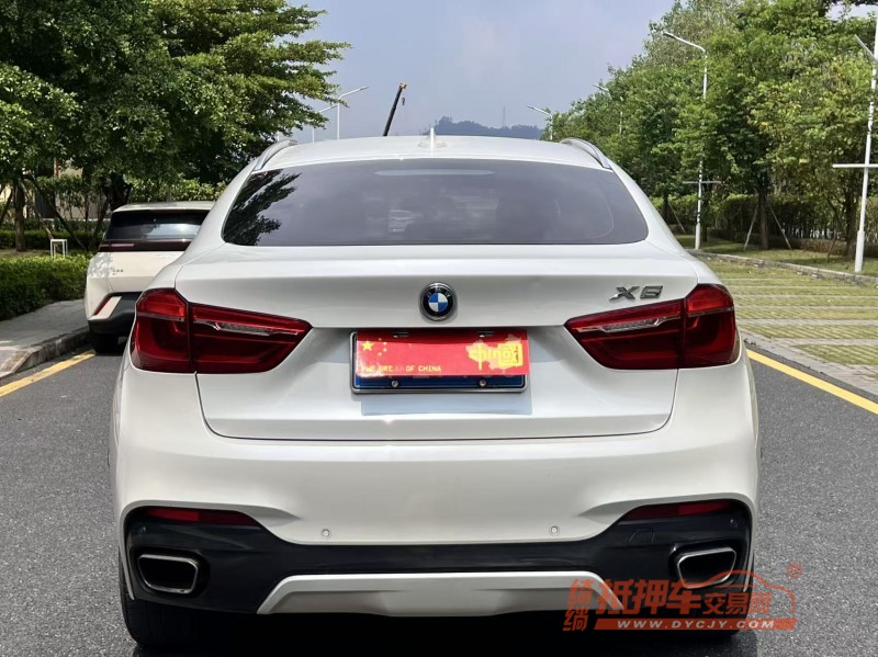 广州17年宝马X66