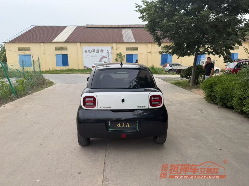 徐州21年长城汽车欧拉9