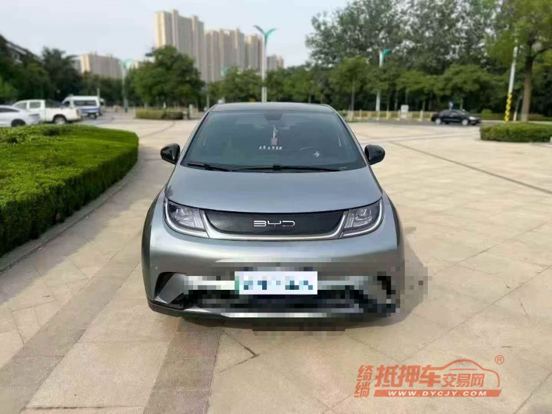 东营24年比亚迪海豚1