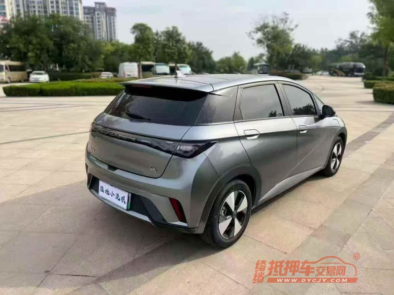 东营24年比亚迪海豚4