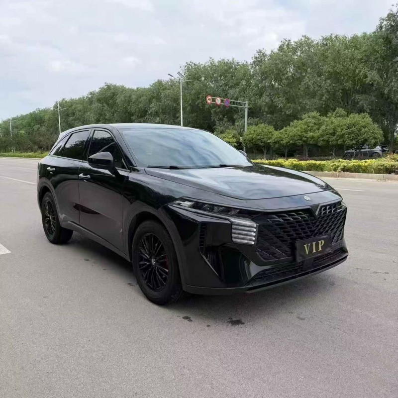 东营22年启辰大V3
