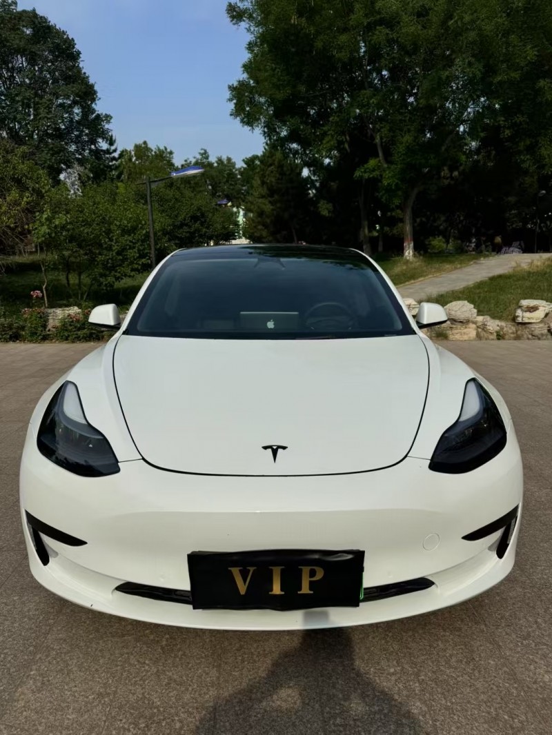 邢台23年特斯拉MODEL 31