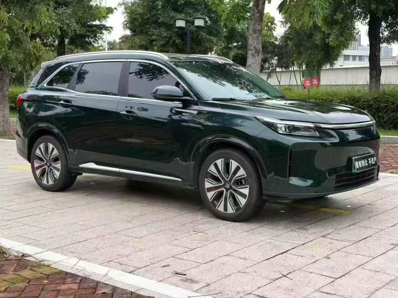 邵阳25年东风蓝电E53