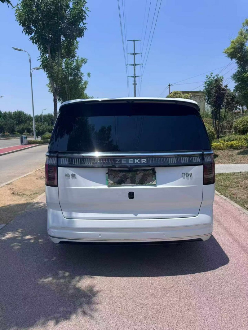 枣庄24年极氪汽车0099