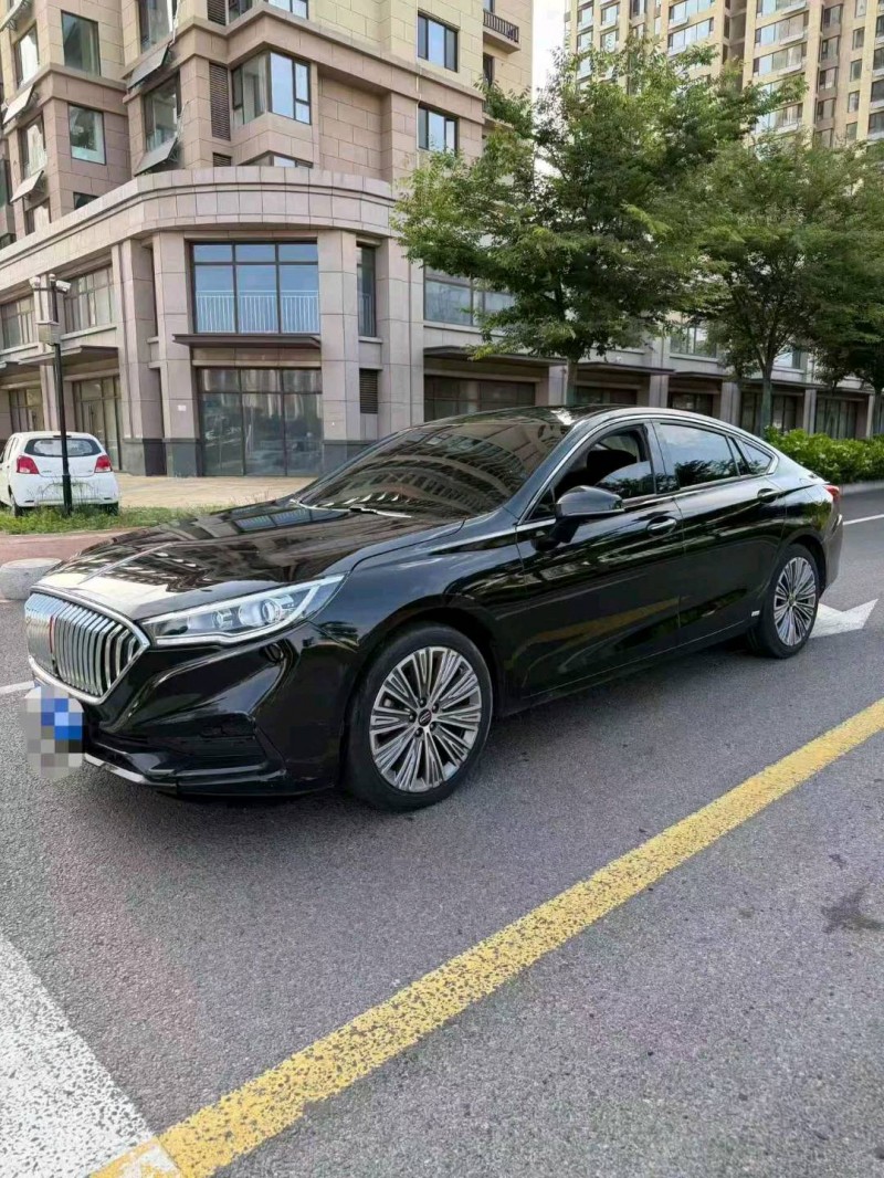 东营22年红旗H53