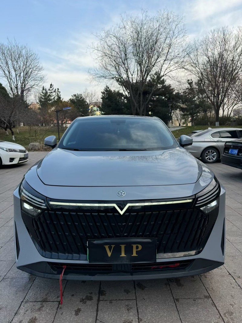 邢台24年启辰大V1