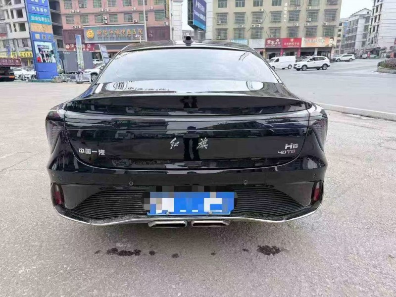 岳阳25年红旗H69
