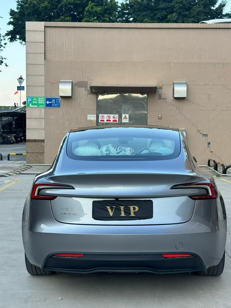 广州25年特斯拉MODEL 39