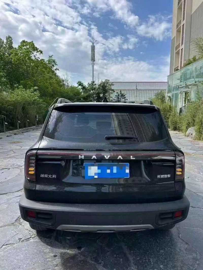 东营25年哈弗大狗8