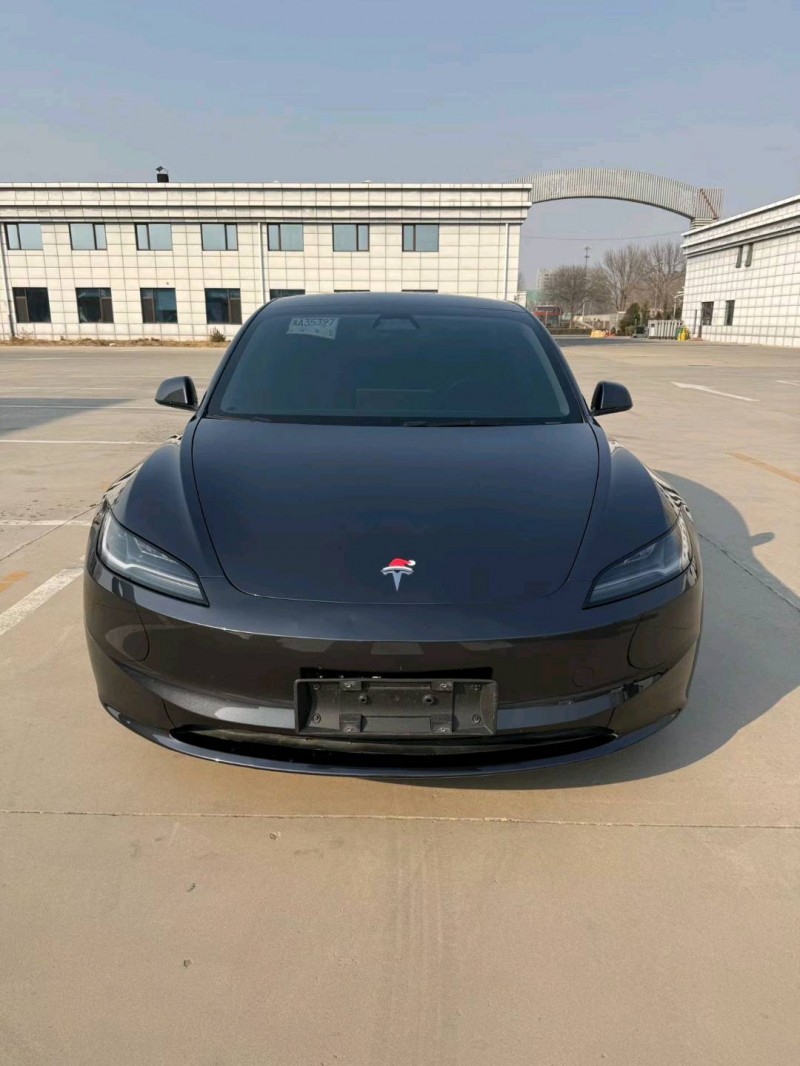廊坊25年特斯拉MODEL 31