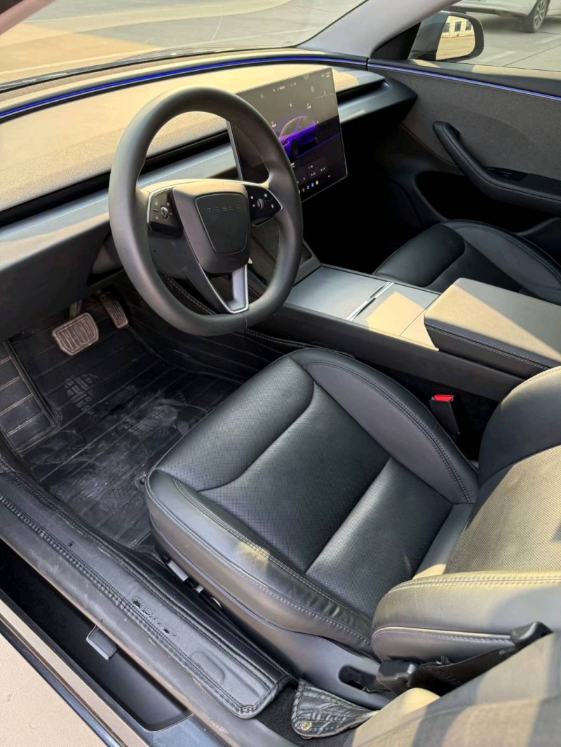 廊坊25年特斯拉MODEL 38