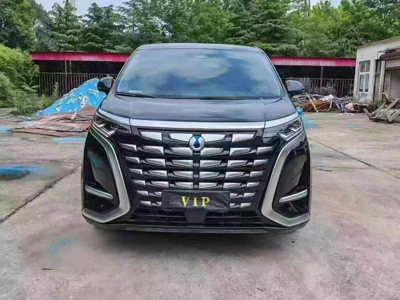 新乡25年腾势D91