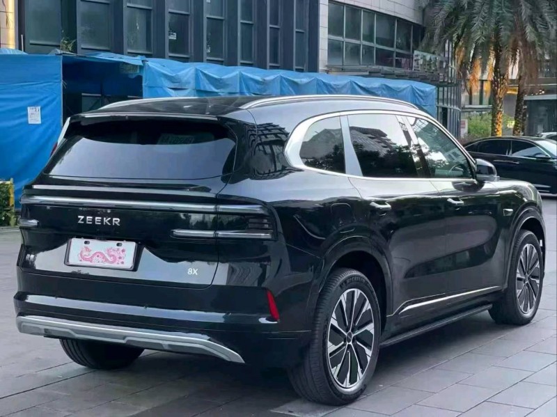 广州26年极氪汽车X6