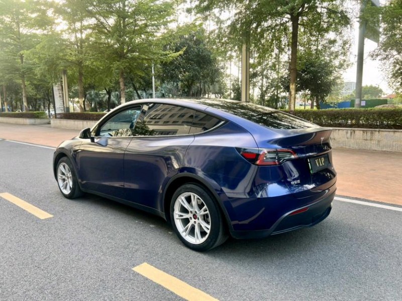 东莞23年特斯拉MODEL Y9