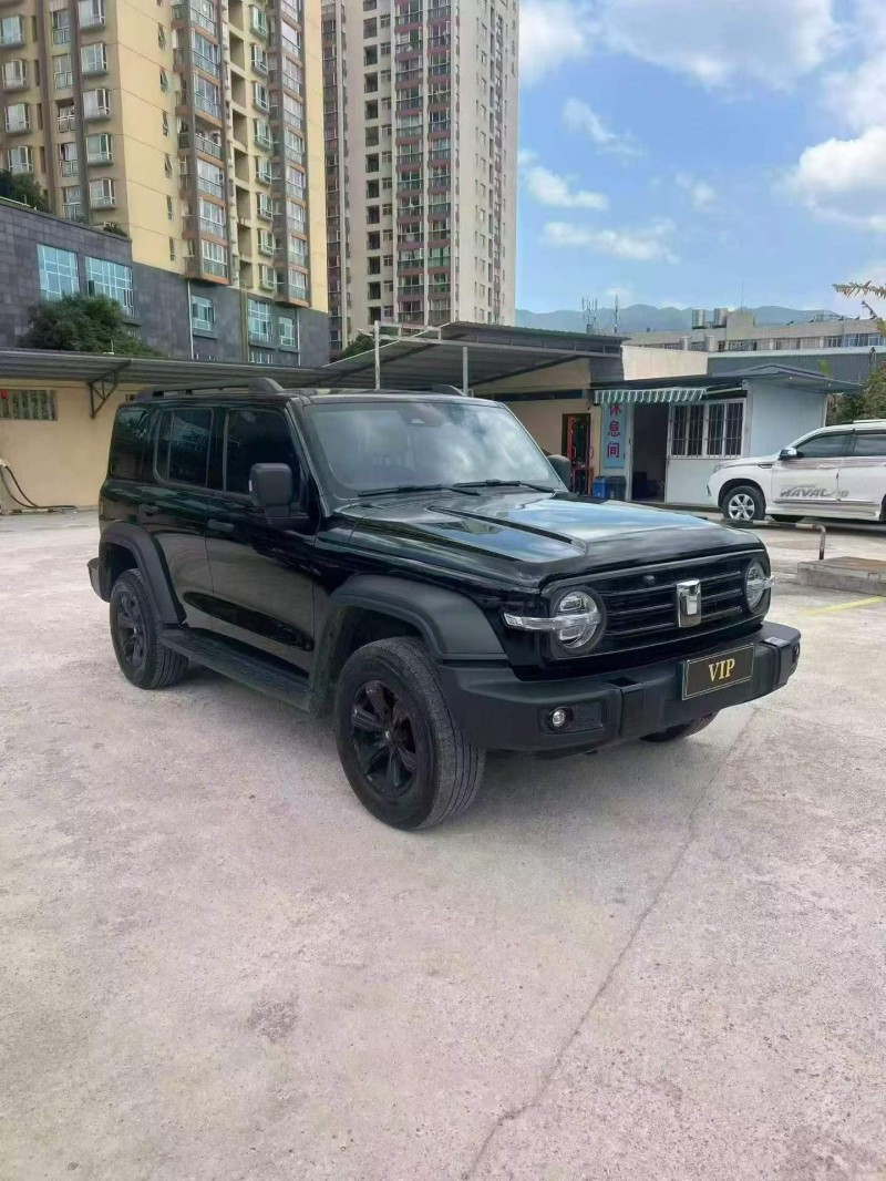 廣州25年長城汽車坦克3