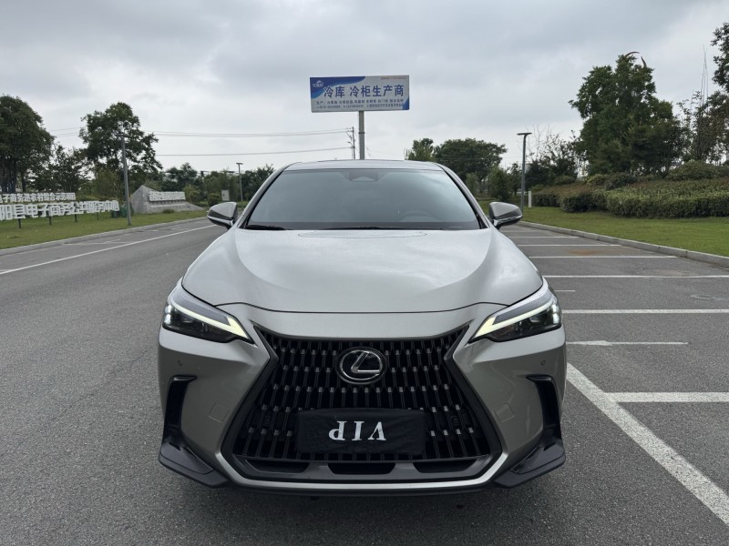 盐城23年雷克萨斯NX1