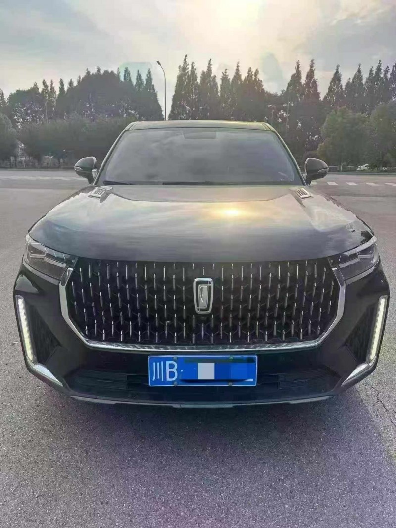 德阳20年奔腾T991