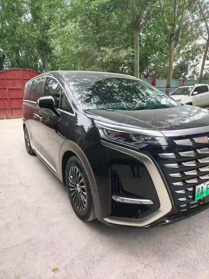 大同24年腾势D93