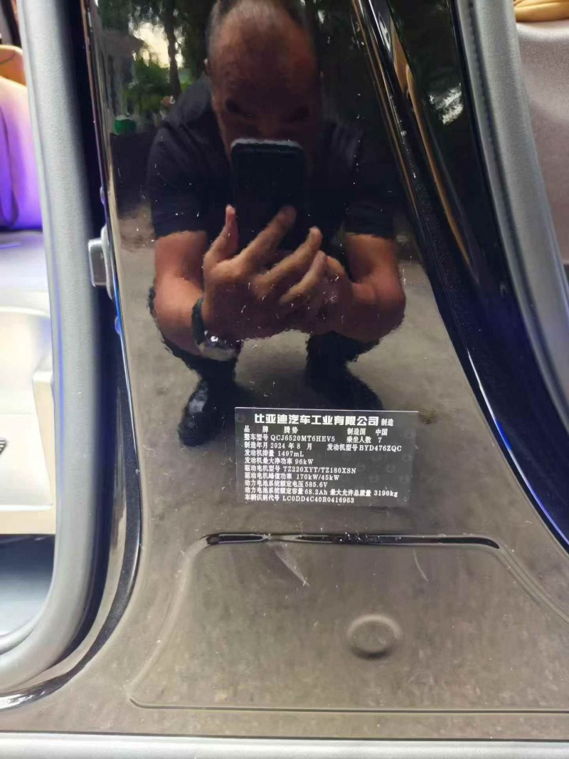 大同24年腾势D98