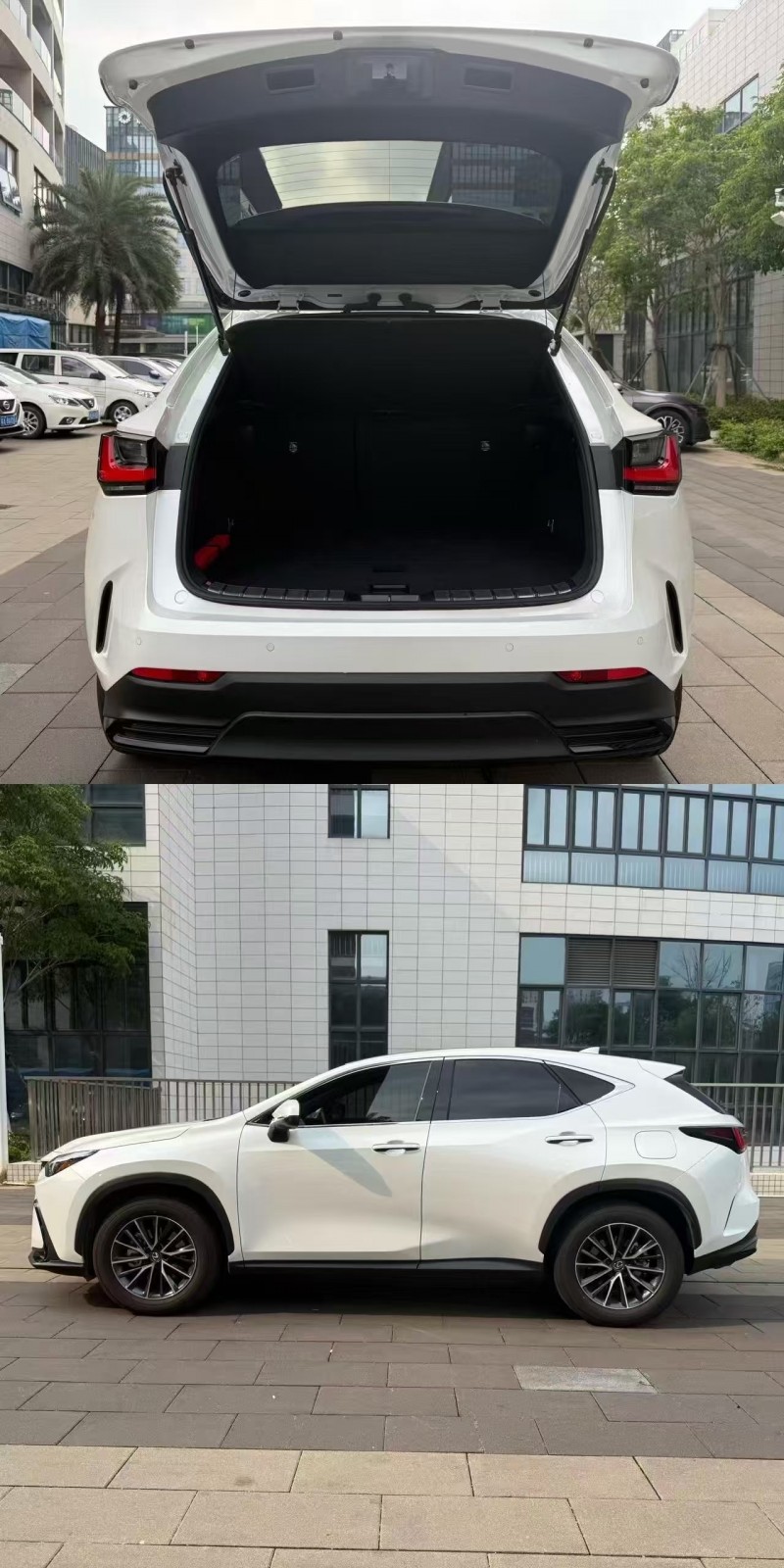 汕头24年雷克萨斯NX6