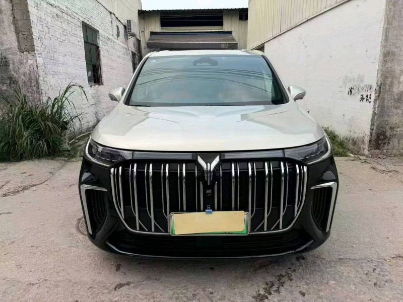 廣州23年嵐圖汽車夢想家1