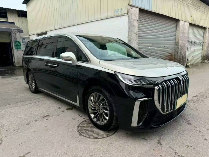廣州23年嵐圖汽車夢想家2