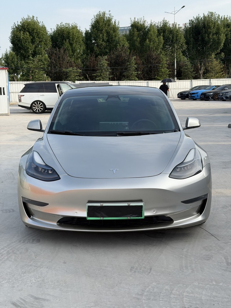 新乡23年特斯拉MODEL 31