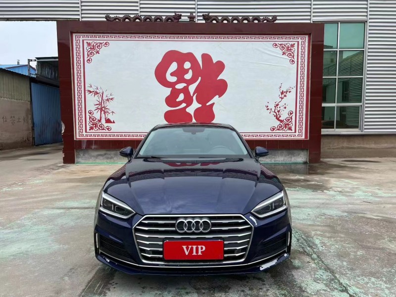 东营19年奥迪A51