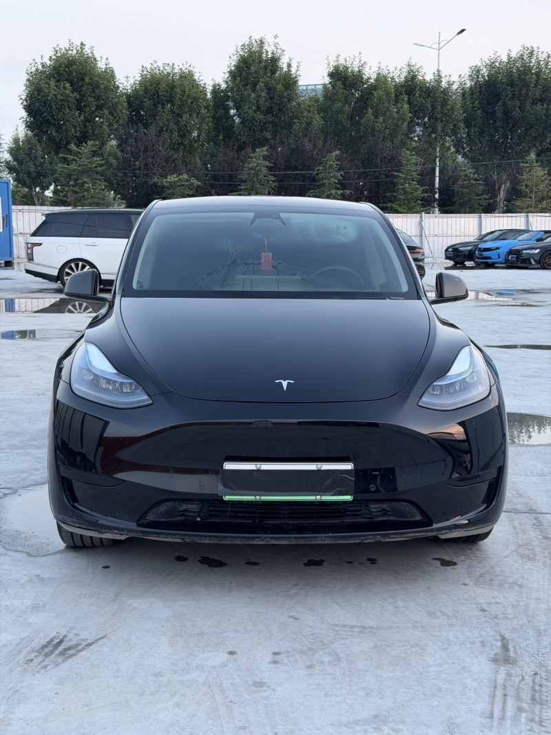 新乡23年特斯拉MODEL Y1