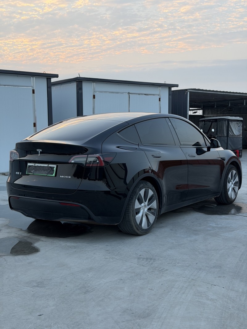 新乡23年特斯拉MODEL Y9