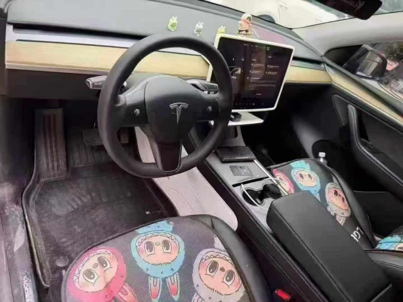 洛阳23年特斯拉MODEL Y5