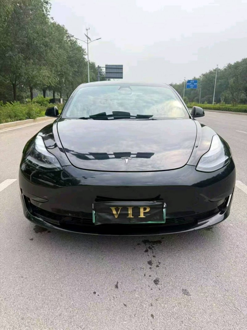 棗莊22年特斯拉MODEL 31