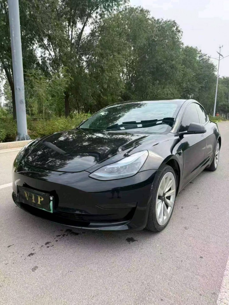 棗莊22年特斯拉MODEL 32
