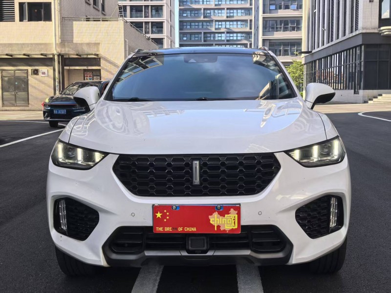 廣州17年長城汽車魏牌1