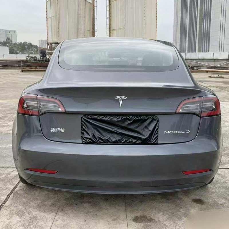 东莞21年特斯拉MODEL 39