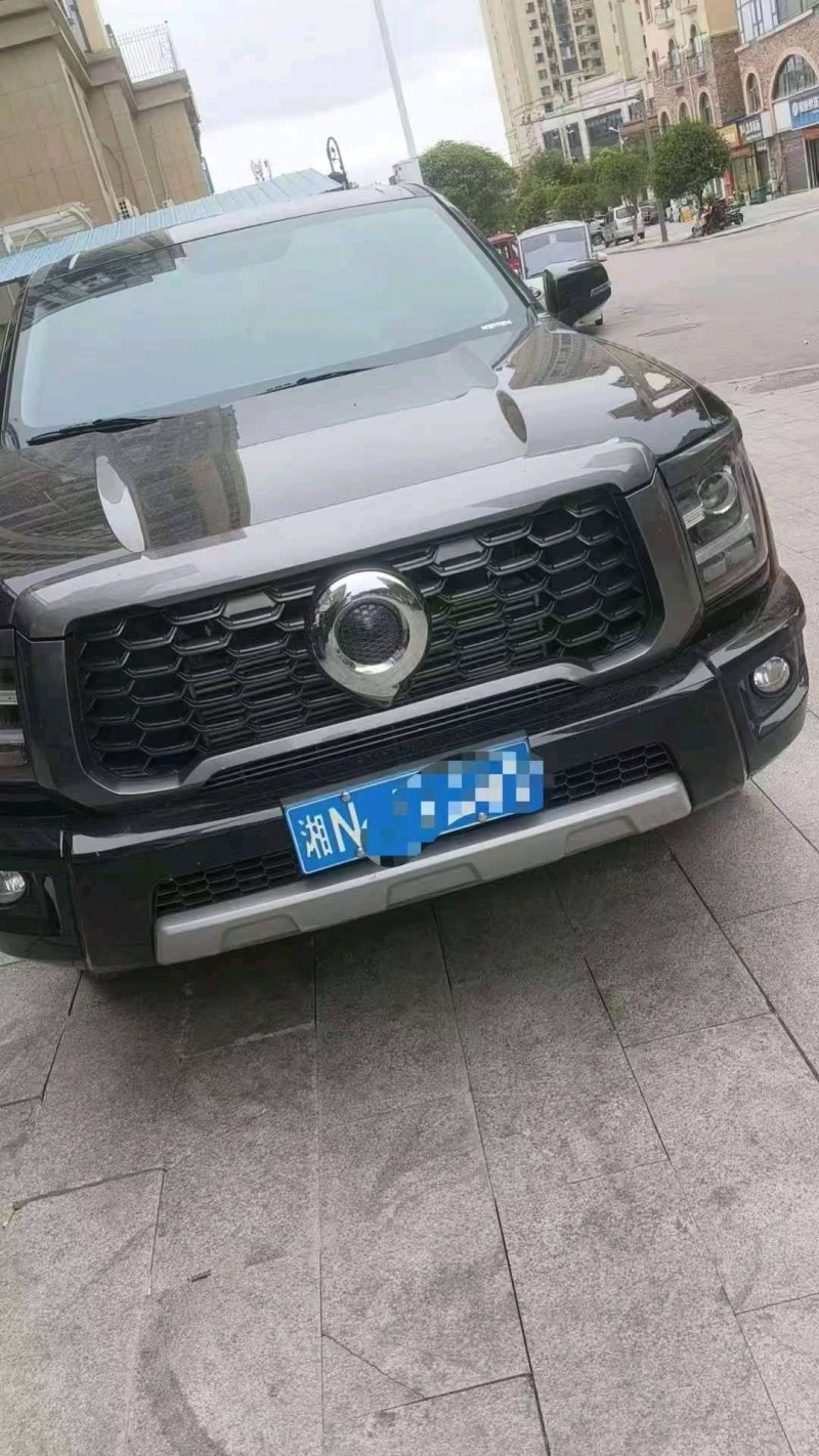 娄底25年长城汽车炮 皮卡1