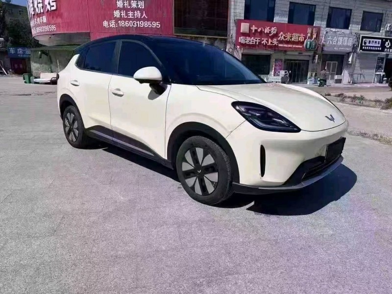 保定25年五菱汽车缤果2