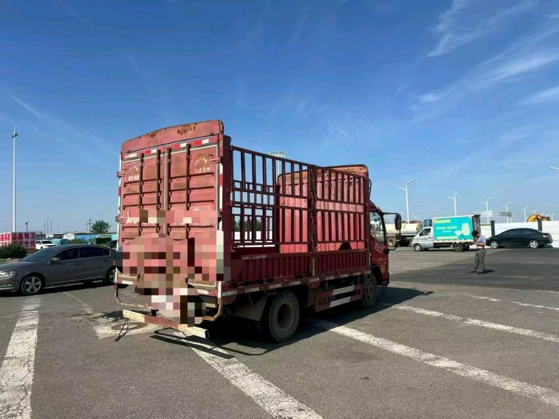 沧州19年解放解放卡车9