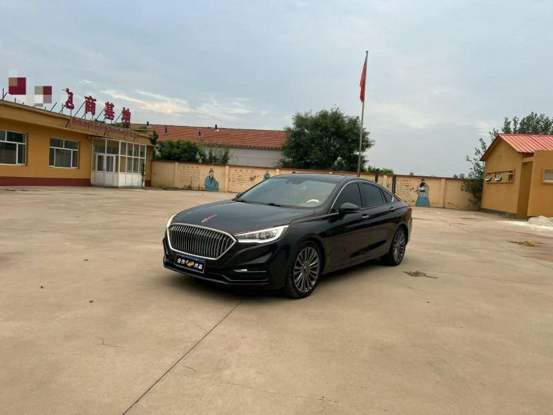 沧州20年红旗H52