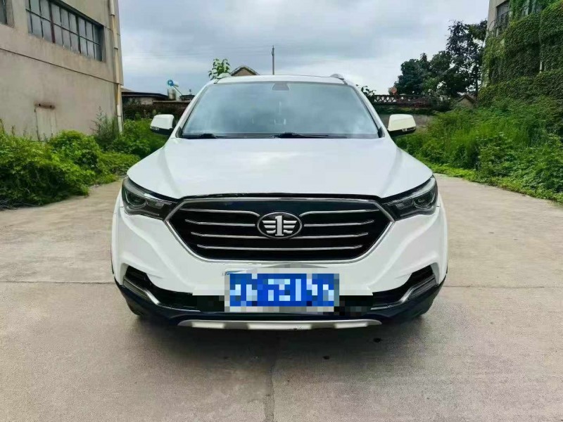 濟南19年奔騰X401