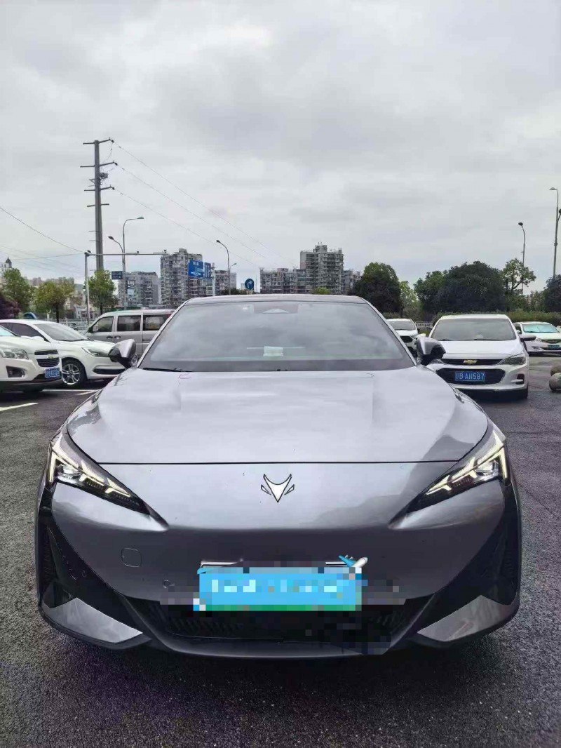新余25年极狐汽车阿尔法1