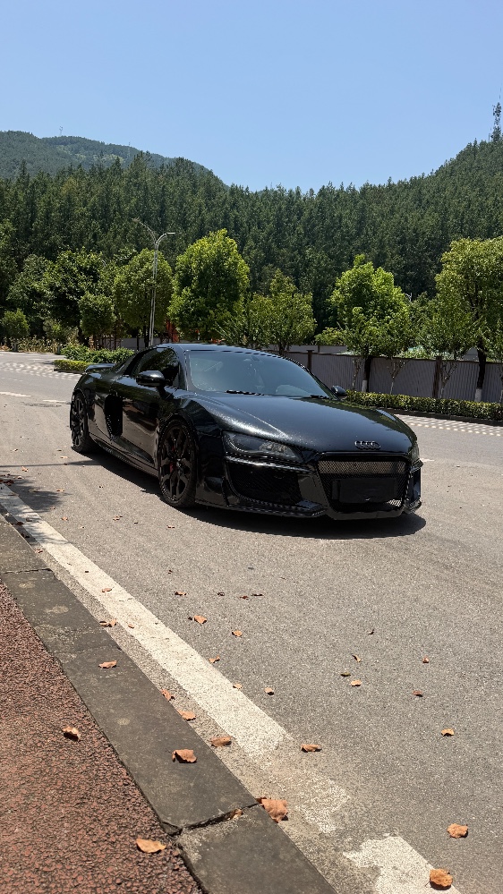 重慶17年奧迪R82