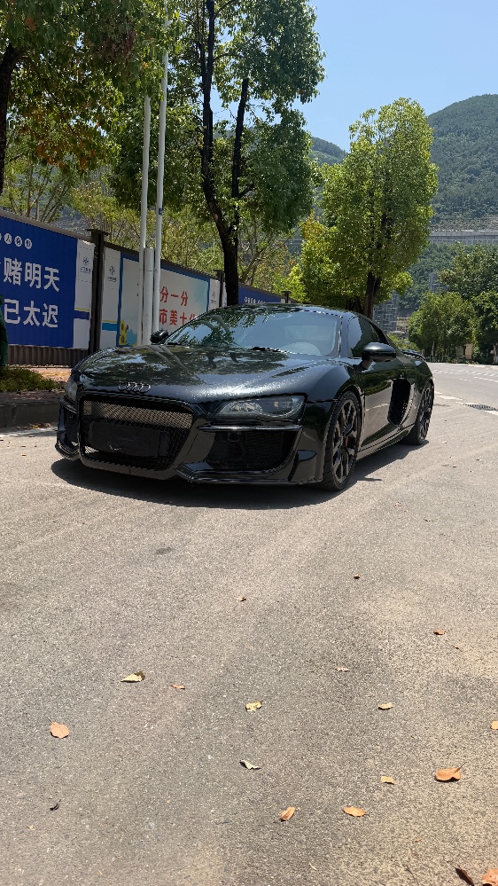 重慶17年奧迪R83