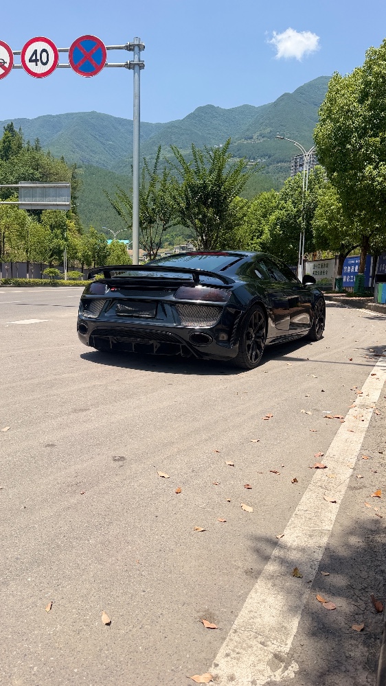 重慶17年奧迪R84